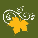 morgan and associates limited