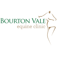 bourton vale equine clinic limited