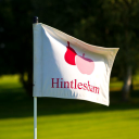 hintlesham golf club limited