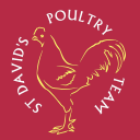 st davids poultry team limited