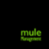 mule management limited