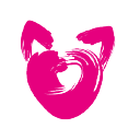 international cat care