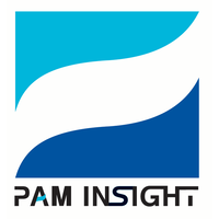 pam insight ltd