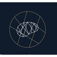 the bis services limited