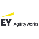 ey professional services limited