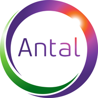 antal international limited