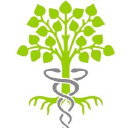 pristine plant limited