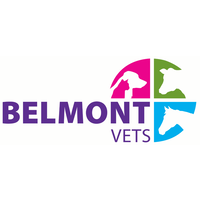 belmont vets ltd