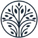 alchemy dental practice limited