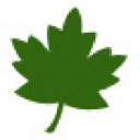 the folio partnership limited