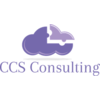 ccs consulting ltd