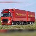 flowervision southampton limited