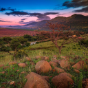 henley insights group limited