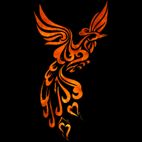 phoenix firewalk limited