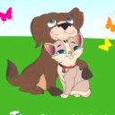 riddle pit farm limited