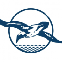 albatross pools & spas limited