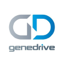genedrive plc
