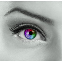 smart office solution limited