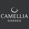 camellia sinensis limited