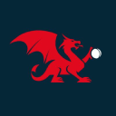 cricketwales limited