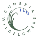 cumbria wildflowers limited