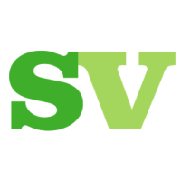 synergy vision limited