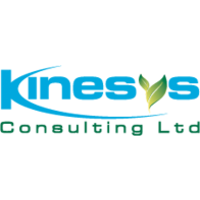 kinesys consulting limited