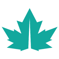 maple accountancy limited