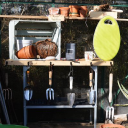 the horse diva limited