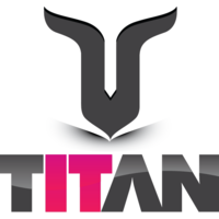 titan network services limited