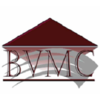 buena vista management company limited