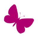 bewilderwood limited