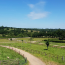 belmont children's farm limited