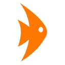 fish financial limited