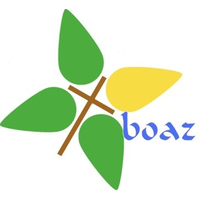 the boaz trust hampshire limited