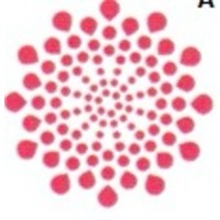 anglo oil corporation limited