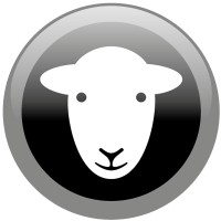 the herdy company limited