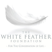 white feather foundation limited