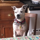 sievingnectar limited