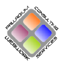 palladium services limited