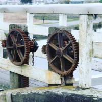 lena solutions limited