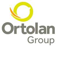 ortolan group limited