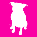 lee stafford limited