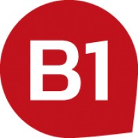 b1 solutions limited