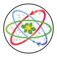 valeting service limited