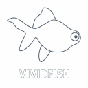 vivid fish limited