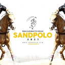 sandpolo ltd
