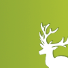 green deer limited