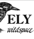 ely wildspace ltd