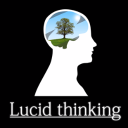 lucid thinking limited